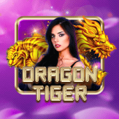 Dragon Tiger live casino on 66win app